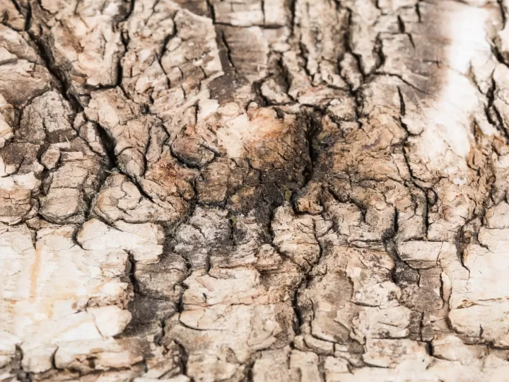 banadores de mujer el corte ingles