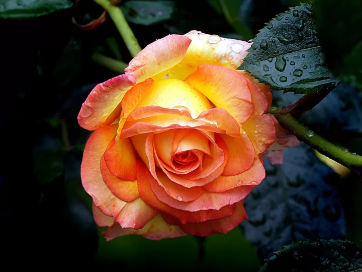 blog me pueden quitar el plus de productividad