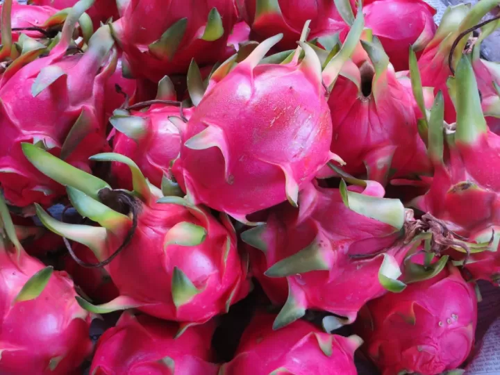 comprar pitahaya carrefour