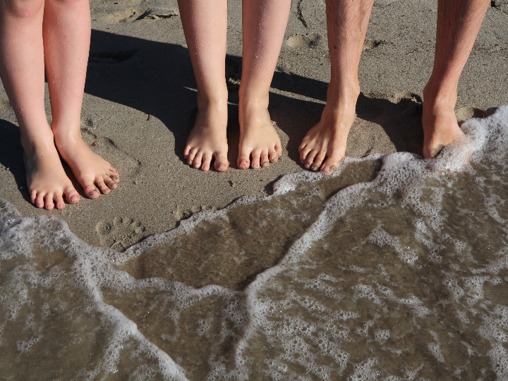 Crea Junta de Andalucía: Guía Nivel 1