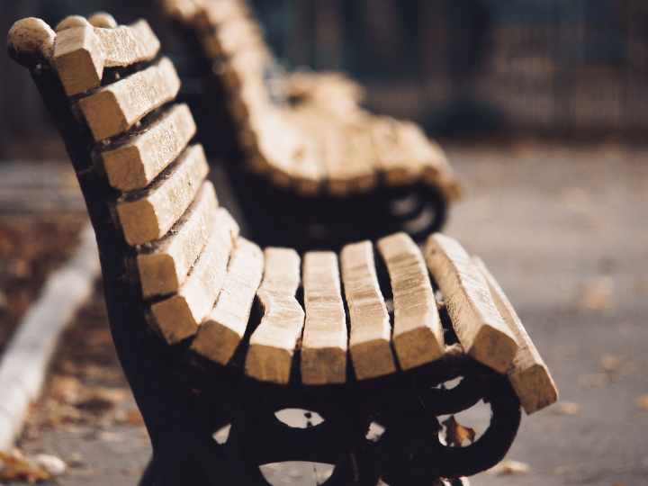 Esculturas de madera reciclada: arte sostenible y único