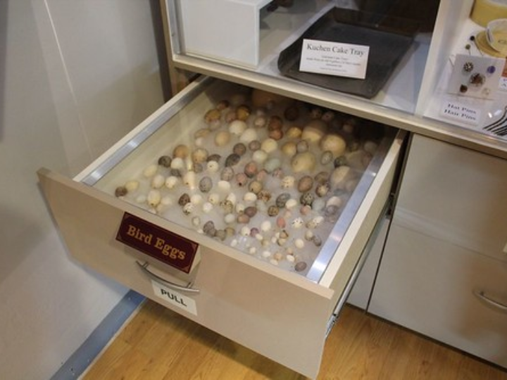 Tela Dacrón por metro y por rollo. 100% poliéster, 150 cm de ancho, 102 g/m², 153 g/ml, Versatilidad en Uso, Calidad Premium, Cuidado Sencillo, Excelente Relación Calidad-Precio